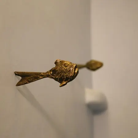 αιωρα Plintri